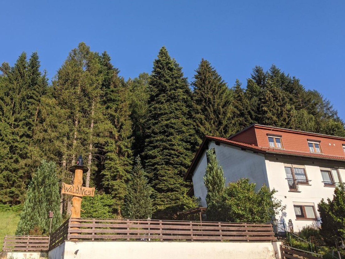 Waldnest Odenwald